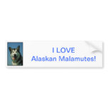Alaskan Malamute Bumper Sticker