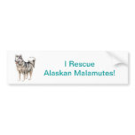 Alaskan Malamute Bumper Sticker