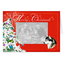 Alaskan Malamute Christmas Photocard