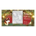Alaskan Malamute Christmas Photocard Photo Cards
