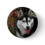 Alaskan Malamute Dog 3 Pinback Button