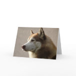 Alaskan Malamute Dog Photograph Greeting Cards