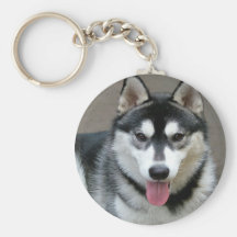 Alaskan Malamute Dog Photograph Key Chain