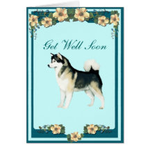 Alaskan Malamute Get Well Greeting Card