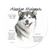 Alaskan Malamute History Design