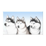 Alaskan Malamute Huskies Wrapped Canvas Stretched Canvas Prints