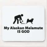 Alaskan Malamute
