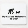 Alaskan Malamute