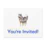 Alaskan Malamute Postcard