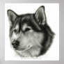 Alaskan Malamute Poster Print