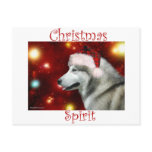 Alaskan Malamute Spirit Postcard