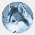 Alaskan Malamute Sticker