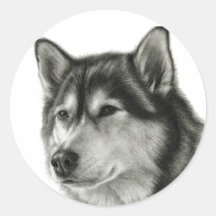 Alaskan Malamute Sticker