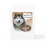 Alaskan Malamute Turkey Card