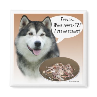 Alaskan Malamute Turkey Magnet by GreyWolfCreation