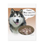 Alaskan Malamute Turkey Postcard