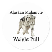 Alaskan Malamute Weight