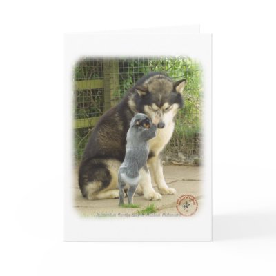 Alaskan Malamute with Cattle Dog pup Greeting Cards by TraffordPhotos
