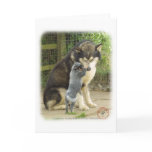 Alaskan Malamute with Cattle Dog pup cards