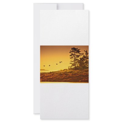 Alaskan Morning Rack Card Template by Boehm_graphics