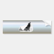 Alaskan Timber Wolf Ghost Background Bumper Sticker