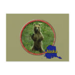 Alaskan Wildlife Post Cards