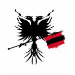 Albanian Eagle with Flag - Ladies Spaghetti Top t-shirts