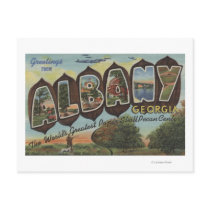 Albany, Georgia - Large Letter Scenes Postcards