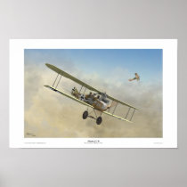 Albatros C.III Posters