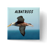 Albatross Flying buttons