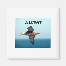 Albatross Flying Magnets