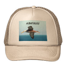 Albatross Flying Mesh Hats