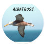 Albatross Flying