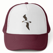 albatross hats
