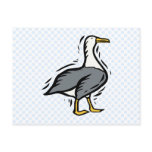 Albert Albatross Post Card