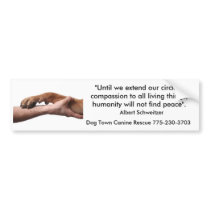 Albert Schweitzer quote