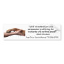 Albert Schweitzer quote
