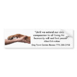 Albert Schweitzer quote bumper stickers