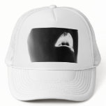 alberto 4 4 T hats