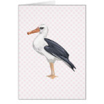Alberto Albatross Card