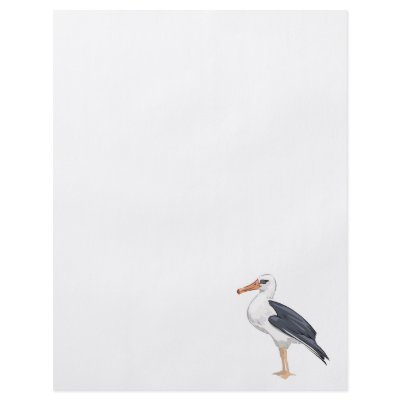 Alberto Albatross Flyer Design by BisforBirds