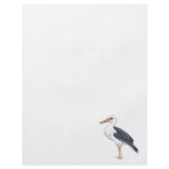 Alberto Albatross flyers