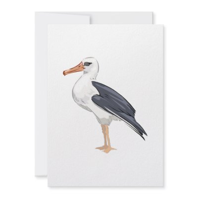 Alberto Albatross Invites by BisforBirds