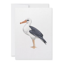Alberto Albatross Invites