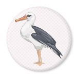 Alberto Albatross Fridge Magnet