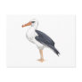 Alberto Albatross Post Cards