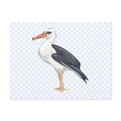 Alberto Albatross Postcard by BisforBirds