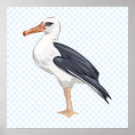 Alberto Albatross posters