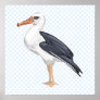 Alberto Albatross Posters