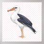 Alberto Albatross Poster
